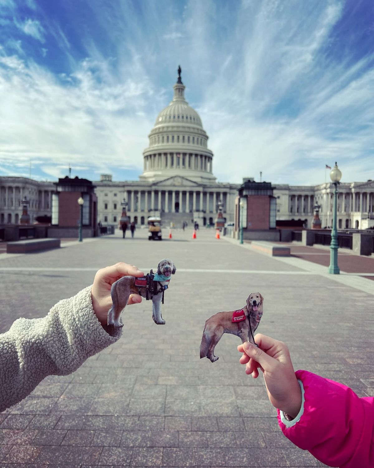 Two hands hold small flat service dog cutouts in front of the US capital building