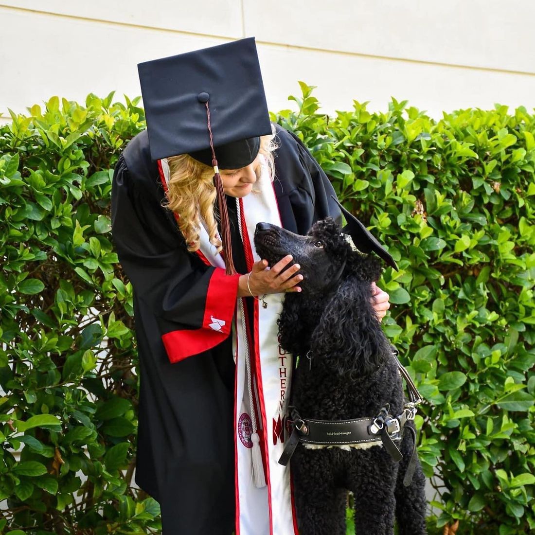 College graduation photo of a young woman in a cap and gown with her service dog